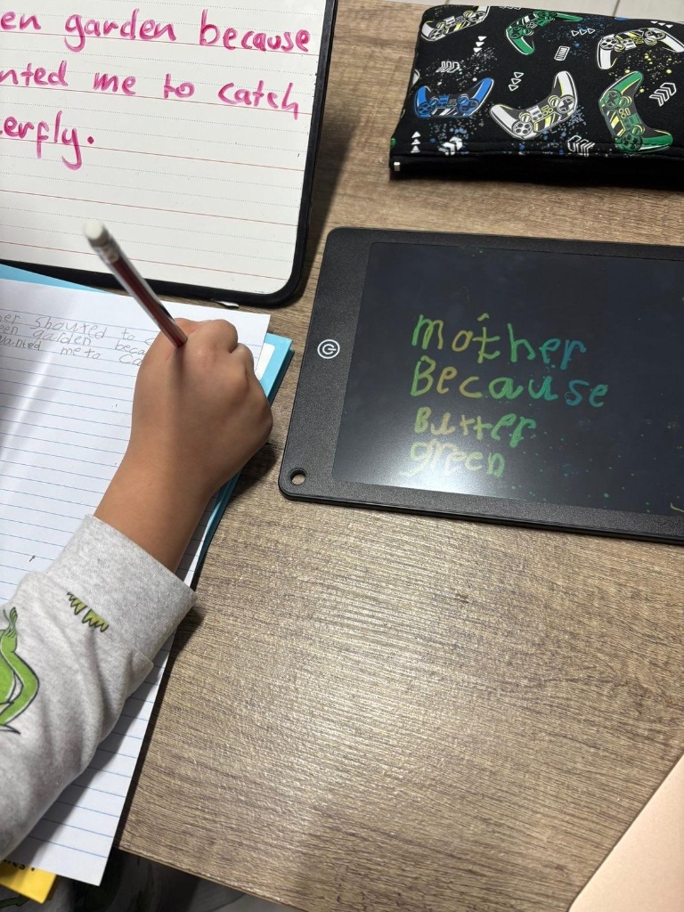 Tutoring Session with Laptop